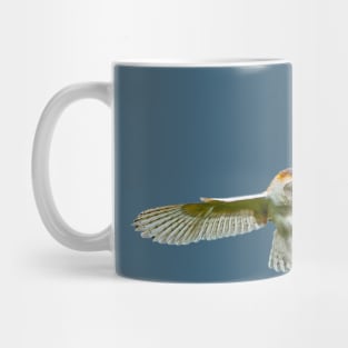 Owl about to pounce on its prey Mug